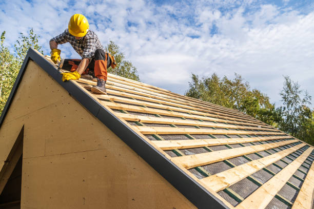 Best Metal Roofing Contractor  in Anna, OH